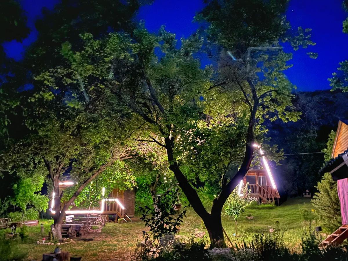 Teo'S Cottages Dedoplis Tskaro エクステリア 写真