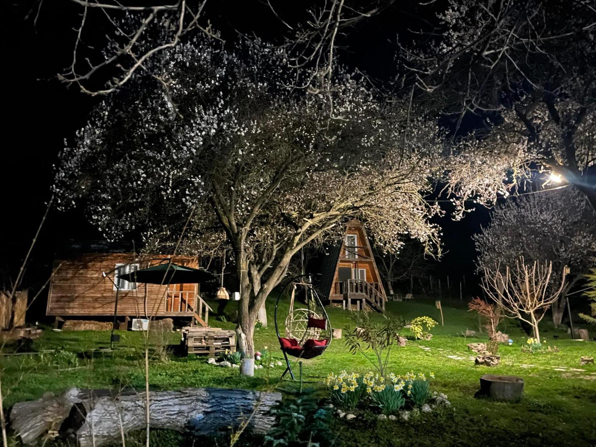 Teo'S Cottages Dedoplis Tskaro エクステリア 写真